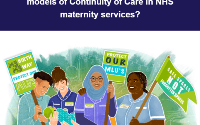 Newsletter 9: “Safe spaces, not forgotten spaces”: Are Midwifery Units at risk as we move towards models of Continuity of Care in NHS maternity services?